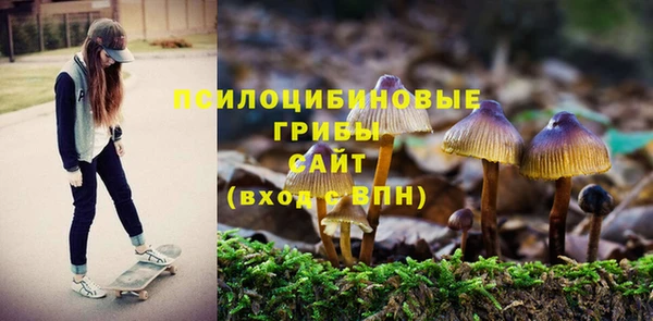 каннабис Алексеевка