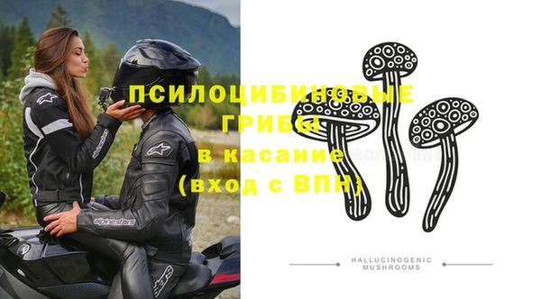 ECSTASY Алзамай