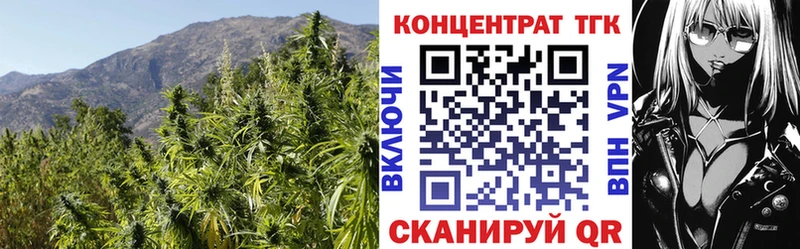 blacksprut ссылка  Безенчук  Дистиллят ТГК THC oil 