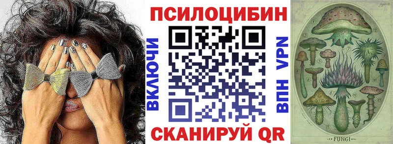 дарнет шоп  Безенчук  Псилоцибиновые грибы Magic Shrooms 